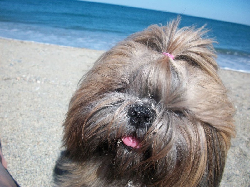 Gessie love de l'Angelarde